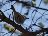 Filename=067_fotowilga~61.JPG
Filesize=248KB
Dimensions=700x525
Date added=Apr 28, 2019 067_fotowilga~61.JPG