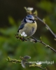 Filename=068_fotowilga~28.JPG
Filesize=50KB
Dimensions=384x480
Date added=May 23, 2016 068_fotowilga~28.JPG