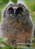 Filename=068_fotowilga~31.JPG
Filesize=67KB
Dimensions=343x480
Date added=Jul 10, 2016 068_fotowilga~31.JPG