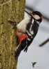 Filename=068_fotowilga~51.JPG
Filesize=281KB
Dimensions=499x700
Date added=Nov 07, 2017 068_fotowilga~51.JPG