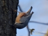 Filename=068_fotowilga~53.JPG
Filesize=71KB
Dimensions=640x480
Date added=Dec 03, 2017 068_fotowilga~53.JPG