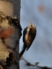 Filename=068_fotowilga~60.JPG
Filesize=215KB
Dimensions=525x700
Date added=Feb 28, 2018 068_fotowilga~60.JPG