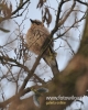Filename=069_fotowilga~24.JPG
Filesize=92KB
Dimensions=384x480
Date added=Apr 05, 2016 069_fotowilga~24.JPG