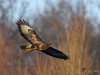 Filename=069_fotowilga~58.JPG
Filesize=272KB
Dimensions=700x525
Date added=Feb 08, 2019 069_fotowilga~58.JPG