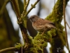 Filename=069_fotowilga~63.JPG
Filesize=284KB
Dimensions=700x525
Date added=May 20, 2019 069_fotowilga~63.JPG