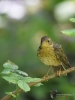 Filename=069_fotowilga~67.JPG
Filesize=296KB
Dimensions=525x700
Date added=Aug 20, 2019 069_fotowilga~67.JPG