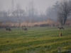 Filename=069_fotowilga~70.JPG
Filesize=246KB
Dimensions=700x525
Date added=Dec 15, 2019 069_fotowilga~70.JPG