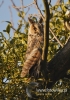 Filename=069_fotowilga~9.JPG
Filesize=103KB
Dimensions=381x540
Date added=May 19, 2014 069_fotowilga~9.JPG