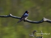 Filename=070_fotowilga~32.JPG
Filesize=57KB
Dimensions=640x475
Date added=May 15, 2016 070_fotowilga~32.JPG
