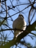 Filename=071_fotowilga~64.JPG
Filesize=227KB
Dimensions=525x700
Date added=May 03, 2019 071_fotowilga~64.JPG