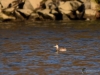 Filename=071_fotowilga~66.JPG
Filesize=264KB
Dimensions=700x525
Date added=May 17, 2019 071_fotowilga~66.JPG