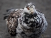 Filename=071_fotowilga~67.JPG
Filesize=252KB
Dimensions=700x525
Date added=Oct 05, 2019 071_fotowilga~67.JPG
