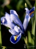 Filename=0727_fotowilga~5.JPG
Filesize=213KB
Dimensions=525x700
Date added=Aug 14, 2019 0727_fotowilga~5.JPG