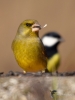 Filename=072_fotowilga~19.JPG
Filesize=222KB
Dimensions=525x700
Date added=May 11, 2019 072_fotowilga~19.JPG