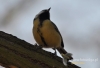Filename=072_fotowilga~30.JPG
Filesize=75KB
Dimensions=640x438
Date added=Apr 19, 2016 072_fotowilga~30.JPG