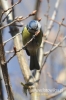 072_fotowilga~4.JPG