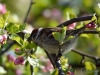 Filename=072_fotowilga~46.JPG
Filesize=263KB
Dimensions=700x525
Date added=May 01, 2017 072_fotowilga~46.JPG
