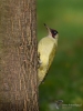 Filename=072_fotowilga~56.JPG
Filesize=272KB
Dimensions=525x700
Date added=Feb 25, 2018 072_fotowilga~56.JPG