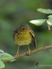 Filename=072_fotowilga~63.JPG
Filesize=272KB
Dimensions=525x700
Date added=Dec 26, 2019 072_fotowilga~63.JPG