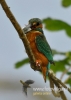 Filename=073_fotowilga~18.JPG
Filesize=67KB
Dimensions=343x480
Date added=Dec 23, 2015 073_fotowilga~18.JPG
