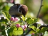 Filename=073_fotowilga~44.JPG
Filesize=269KB
Dimensions=700x525
Date added=May 01, 2017 073_fotowilga~44.JPG