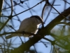 Filename=073_fotowilga~56.JPG
Filesize=247KB
Dimensions=700x525
Date added=May 06, 2019 073_fotowilga~56.JPG