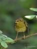 Filename=073_fotowilga~61.JPG
Filesize=274KB
Dimensions=525x700
Date added=Oct 03, 2019 073_fotowilga~61.JPG