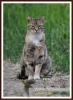 Filename=073_fotowilga~8.JPG
Filesize=87KB
Dimensions=351x480
Date added=Feb 27, 2015 073_fotowilga~8.JPG