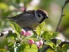 Filename=074_fotowilga~43.JPG
Filesize=250KB
Dimensions=700x525
Date added=May 01, 2017 074_fotowilga~43.JPG