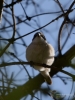 Filename=074_fotowilga~51.JPG
Filesize=223KB
Dimensions=525x700
Date added=Apr 28, 2019 074_fotowilga~51.JPG