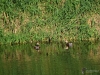 Filename=074_fotowilga~62.JPG
Filesize=422KB
Dimensions=700x525
Date added=Dec 01, 2019 074_fotowilga~62.JPG