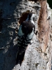 Filename=075_fotowilga~50.JPG
Filesize=337KB
Dimensions=525x700
Date added=Sep 06, 2018 075_fotowilga~50.JPG