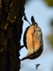 Filename=075_fotowilga~8.JPG
Filesize=205KB
Dimensions=525x700
Date added=Jul 04, 2019 075_fotowilga~8.JPG