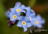 Filename=076_fotowilga~12.JPG
Filesize=71KB
Dimensions=640x457
Date added=Oct 25, 2015 076_fotowilga~12.JPG