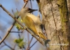 Filename=076_fotowilga~15.JPG
Filesize=114KB
Dimensions=640x457
Date added=Nov 12, 2015 076_fotowilga~15.JPG