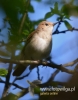 Filename=076_fotowilga~26.JPG
Filesize=56KB
Dimensions=377x480
Date added=Aug 03, 2016 076_fotowilga~26.JPG