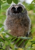 Filename=076_fotowilga~36.JPG
Filesize=266KB
Dimensions=499x700
Date added=Jun 29, 2017 076_fotowilga~36.JPG