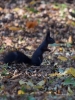 Filename=076_fotowilga~42.JPG
Filesize=285KB
Dimensions=525x700
Date added=Nov 21, 2017 076_fotowilga~42.JPG