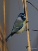 Filename=076_fotowilga~45.JPG
Filesize=223KB
Dimensions=525x700
Date added=Feb 09, 2018 076_fotowilga~45.JPG