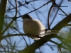 Filename=076_fotowilga~51.JPG
Filesize=242KB
Dimensions=700x525
Date added=May 08, 2019 076_fotowilga~51.JPG