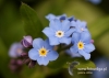Filename=077_fotowilga~15.JPG
Filesize=74KB
Dimensions=640x457
Date added=Oct 25, 2015 077_fotowilga~15.JPG