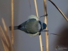 Filename=077_fotowilga~44.JPG
Filesize=221KB
Dimensions=700x525
Date added=Feb 23, 2018 077_fotowilga~44.JPG