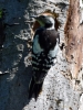Filename=077_fotowilga~51.JPG
Filesize=342KB
Dimensions=525x700
Date added=Nov 14, 2018 077_fotowilga~51.JPG