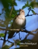 Filename=078_fotowilga~25.JPG
Filesize=56KB
Dimensions=377x480
Date added=Aug 01, 2016 078_fotowilga~25.JPG
