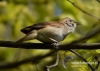 Filename=078_fotowilga~26.JPG
Filesize=71KB
Dimensions=640x457
Date added=Aug 03, 2016 078_fotowilga~26.JPG