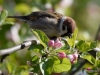 Filename=078_fotowilga~38.JPG
Filesize=263KB
Dimensions=700x525
Date added=May 01, 2017 078_fotowilga~38.JPG