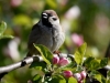 Filename=079_fotowilga~44.JPG
Filesize=244KB
Dimensions=700x525
Date added=May 02, 2017 079_fotowilga~44.JPG