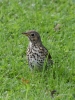 Filename=079_fotowilga~47.JPG
Filesize=333KB
Dimensions=525x700
Date added=Sep 08, 2017 079_fotowilga~47.JPG