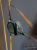 Filename=079_fotowilga~51.JPG
Filesize=218KB
Dimensions=525x700
Date added=Feb 09, 2018 079_fotowilga~51.JPG