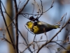 Filename=079_fotowilga~61.JPG
Filesize=245KB
Dimensions=700x525
Date added=May 14, 2019 079_fotowilga~61.JPG